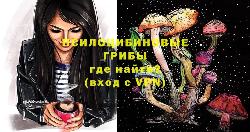 как найти наркотики  Заозёрный  Псилоцибиновые грибы Psilocybe 